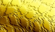 Paslanmaz Desenli Saclar