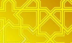 Paslanmaz Desenli Saclar