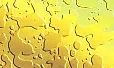 Paslanmaz Desenli Saclar