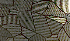 Paslanmaz Kabartma Yüzey Saclar